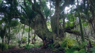 Kali Kopae - The Dead Lands s01e03 (2020) actress hot scene