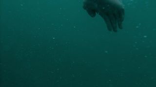 Ragga Ragnars - Vikings s06e15 (2020) celebs booby video