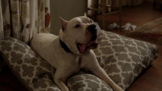 Lili Simmons nude - Ray Donovan  (2017)(Season 5, Episode 9)