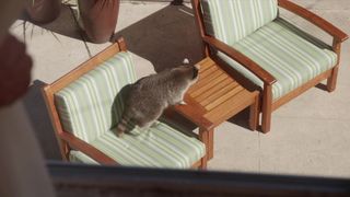 Maria Bamford - Lady Dynamite s02e01 (2017) Naked movie scene