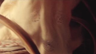 Waleska Freitas nude - Dois Irmaos (2017) (Season 1, Episode 3)