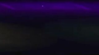 Coppelia Circus - 23rd Annual Miss Exotic World Competition