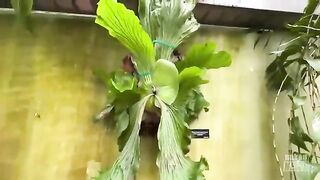 Naked news. Report 2022