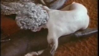 Taboo classic - Sexeck