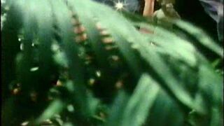 Petite Fleur (Tabu Film) Older Classiic TAboo