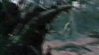 Die Nachtuebung (vintage forbidden porn)