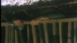 Ein Flotter Stich (Diamant Video)