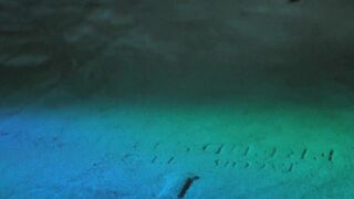 Daniela Doria - The House by the Cemetery (1981) topless scene