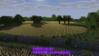 Outdoor Sex Minecraft Sex Mod