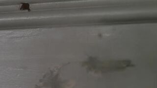 Daphne Zuniga - Last Rites (1988)