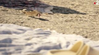 Constance Bascou Nude. La peste s01e01e04 (2024) erotic movie scenes