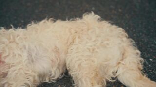 Bettina Zimmermann nackt - Zwei Frauen fur alle Felle (2025)  s01e10 - Hot Scene