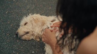 Bettina Zimmermann nackt - Zwei Frauen fur alle Felle (2025)  s01e10 - Hot Scene