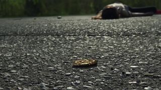 Emily Browning nude actress - American Gods  (2017) (Season 1, Episode 7)