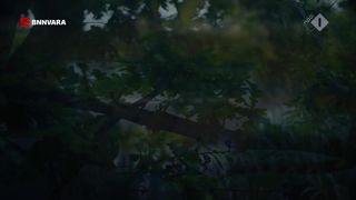 Malou Gorter nude - Oogappels s01e02 (2019)