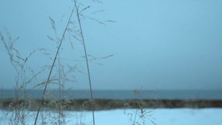 Ingvild Holthe Bygdnes, Guri Johnson nude - Monster (2017) (Season 1, Episode 5)