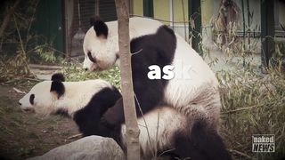 Adult TV Show - Naked News 2021-01-10