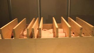 Nude Art Performance