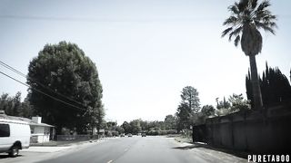 Almost Identical - PureTaboo (2017)