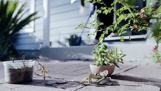 Future Darkly Pandemic - Kate and the Free Man (Adult Time Series)