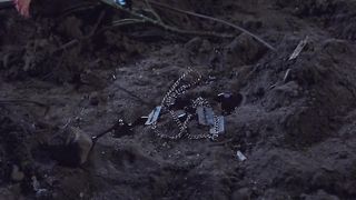 The Night They Came For Lacy  (PureTaboo 2019)