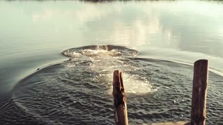 Die Toten von Marnow s01e01-04 (2021) Petra Schmidt-Schaller nude