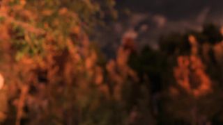 Ample titted, animated ebony-haired loves to get ravaged from the back until she concludes up exhausted