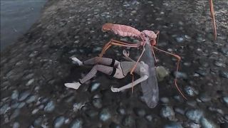 Creatures from Fallout are using every opportunity to slurp pussy and hookup it a bit