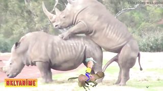 Lucky Luke is making sure that African beasts are safe and can romp all day long