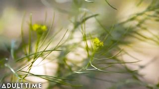 Bree & Aubrey Sensual Hot Trans Sex (ADULT TIME Transfixed)