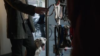 Claudia Vega nude - Merli. Sapere Aude s02e01 (2021) TV Movie Show nudity in bathroom scene