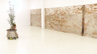 Nudity Performance Art - Modern