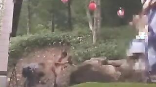 Outdoor Japan brings us another mischievous Oriental whore to decently love