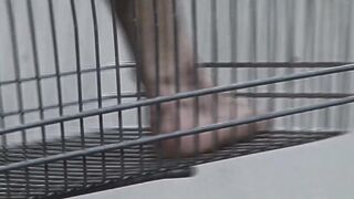 Art Performance. Ricci / forte TROIA'S DISCOUNT