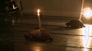 Theatre like it was to be hoped and forseseen