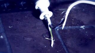 Grausame Töchter: Ficken ist ein schlimmes Wort (offizielles Vid)