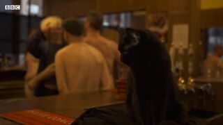 Nude pint: London's naked pub - BIG BLACK COCK London