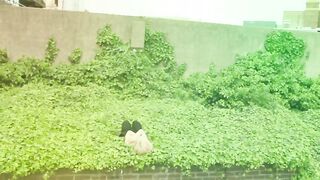 Ejecta - Silver (Official Music Movie)